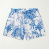 alavida shorts